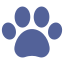 Flea Prevention